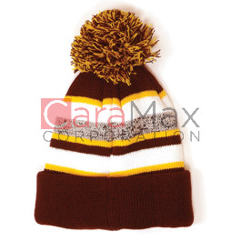 ca-pom2-bugd_2.jpg