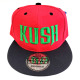 Custom Embroidered Snapback Caps, Customization Weed Design Patch Hats, #WD9, 12 Set